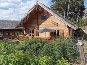 Agréable chalet à la Joue du Loup